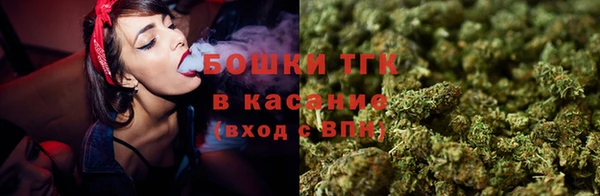 индика Волоколамск