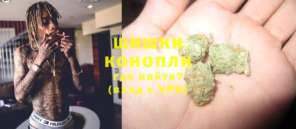 соль ск Волосово