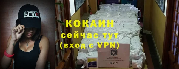соль ск Волосово