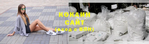 соль ск Волосово