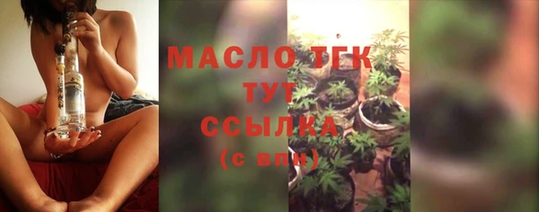 индика Волоколамск