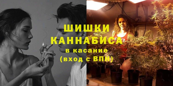 индика Волоколамск