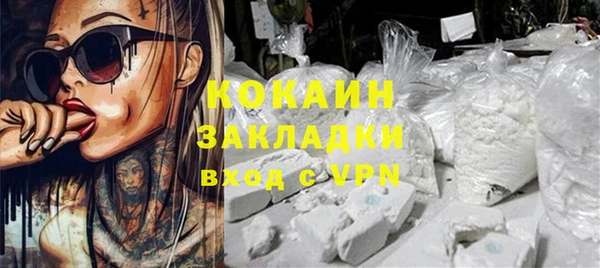 индика Волоколамск