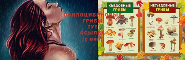 соль ск Волосово