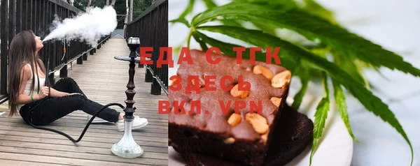 индика Волоколамск