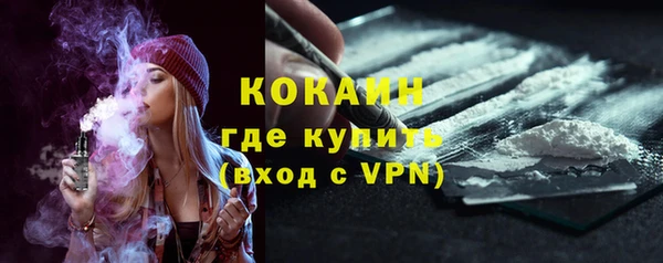 индика Волоколамск