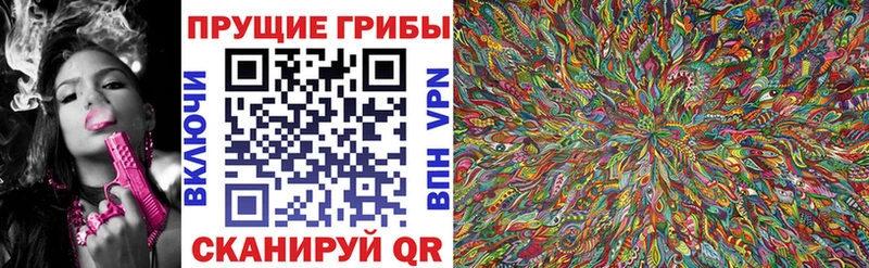 купить  цена  Жигулёвск  блэк спрут вход  Псилоцибиновые грибы MAGIC MUSHROOMS 